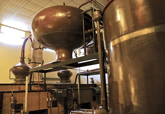 distillation du cognac